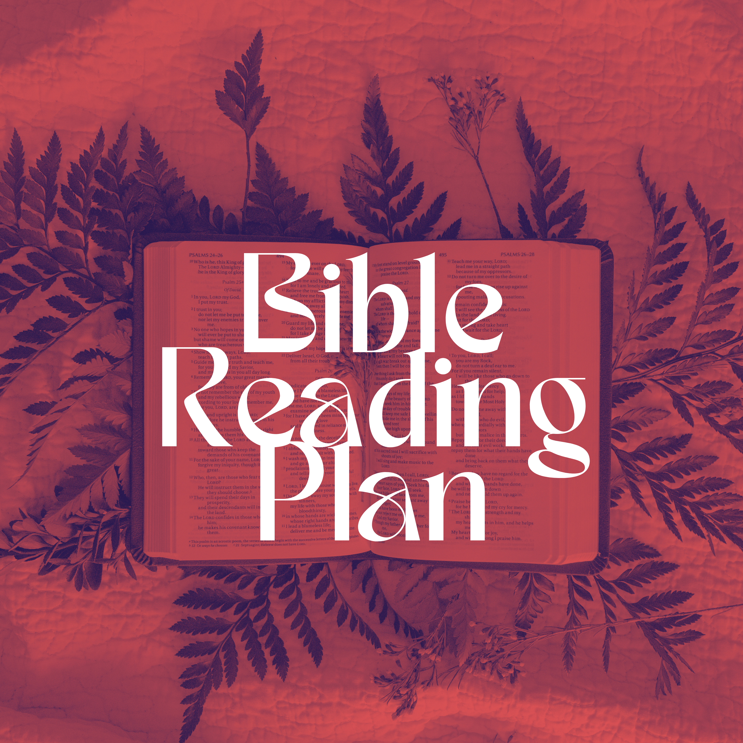 Bryte Bible Reading Plan